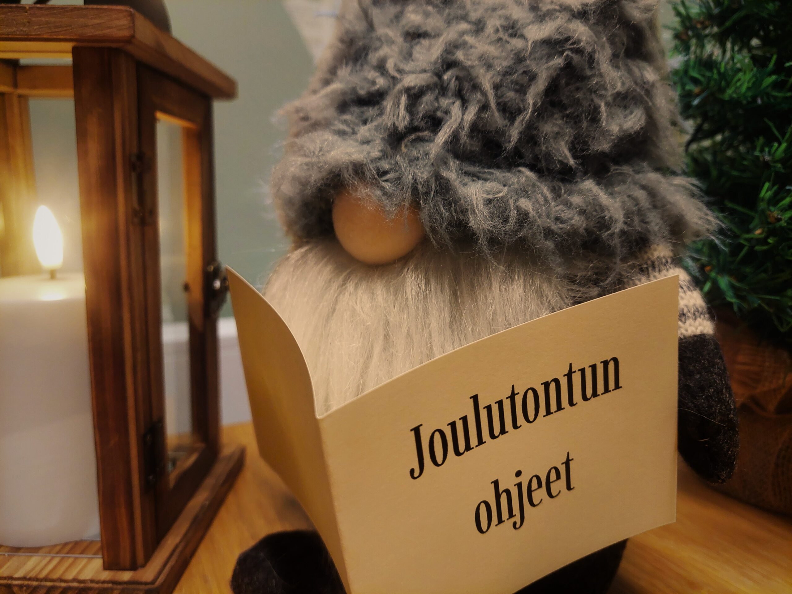 Kuvassa harmaamyssyinen tonttu lukee Joulutontun ohjeet -kirjaa